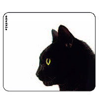 Tucano - gatto nero.jpg